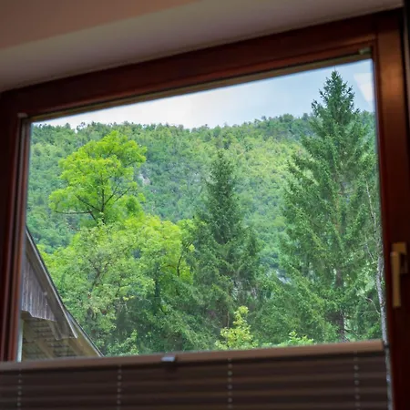 Brane & Jaka Apartma *