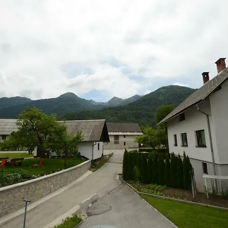 Daire Brane & Jaka Bohinj