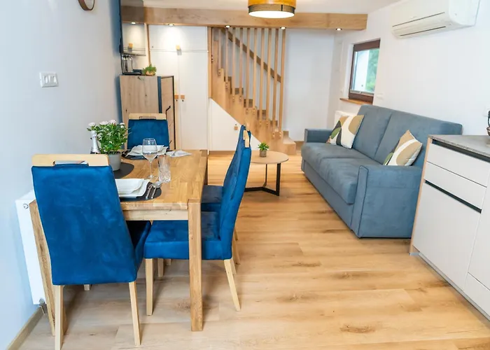 Brane & Jaka בוהין