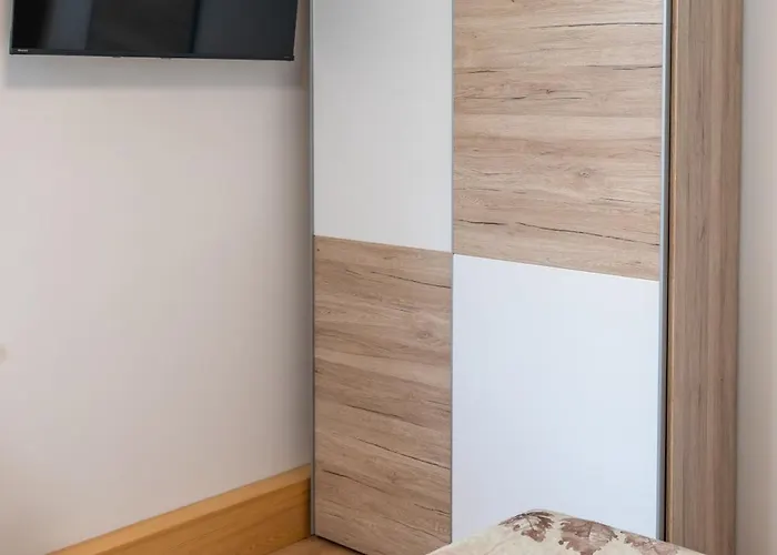 Brane & Jaka בוהין