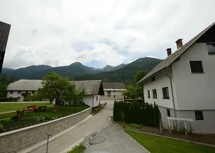 Διαμέρισμα Brane & Jaka Bohinj